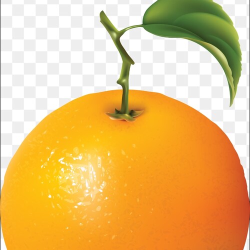 Visit ridetricker's profile on GETTR. View their posts, photos, videos, and connect with them on the social platform.