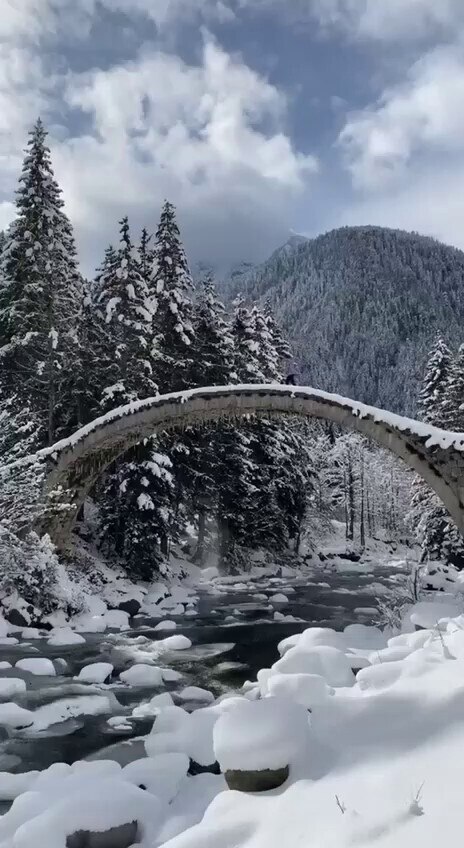 Good Morning my @gettr family ❤️ Another beautiful video of Gods earth 🙌🏻 Have a fantastic Tuesday...