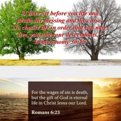 [YAHUSHUA HA MASHIACH] THE CHIEF CORNERSTONE MINISTRY - Psalm 118:22; 1 Peter 2; Genesis 50:20