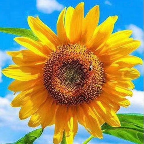 辨真假，识善恶 ，为真不破，觉醒人生！