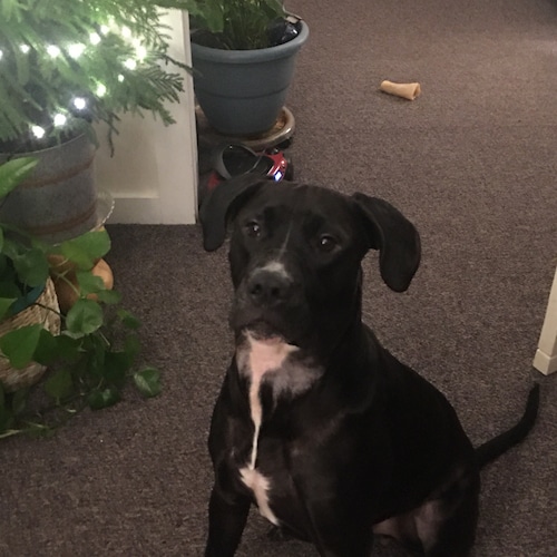 US Patriot, God Fearing woman and Nana, America First!!🇺🇸🇺🇸🇺🇸