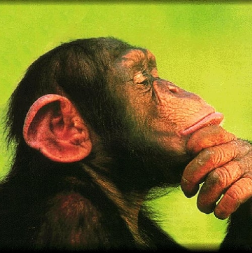 PhD Statistics & Data Stuff; Two Lobes: Geek & Art