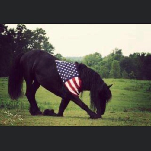 Christian Conservative Texan.