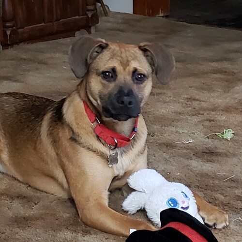 Visit TheRealFrankyV's profile on GETTR. View their posts, photos, videos, and connect with them on the social platform.