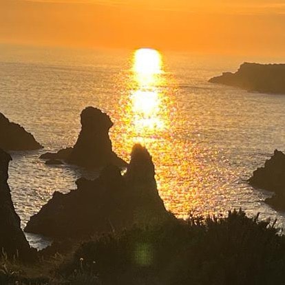 Visit gwenn5.06's profile on GETTR. View their posts, photos, videos, and connect with them on the social platform.