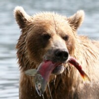 Red Bear Video produces compelling & entertaining videos, animation & graphic designs for Christians, Patriots, and othe...