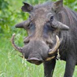 Scientist, Artist, Outdoorsman. I like anything that burns gunpowder or gasoline.