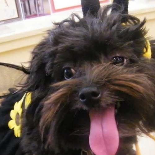 Freedomist, Economics Nerd, Hemorrhagic Stroke Survivor, "Half Brain Will Travel"!