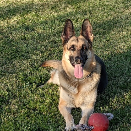 Proud Trump Supporter - #Deplorable #BacktheBlue #MAGA #KAG  Enthusiast of loving God, travel & having fun! Save America