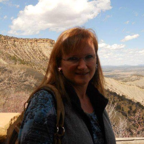 Trump won by ALOT. #AUDITall50STATES     https://www.audit50.org/