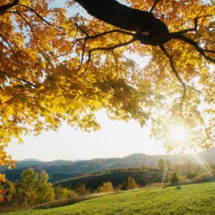 Visit gsfilho's profile on GETTR. View their posts, photos, videos, and connect with them on the social platform.