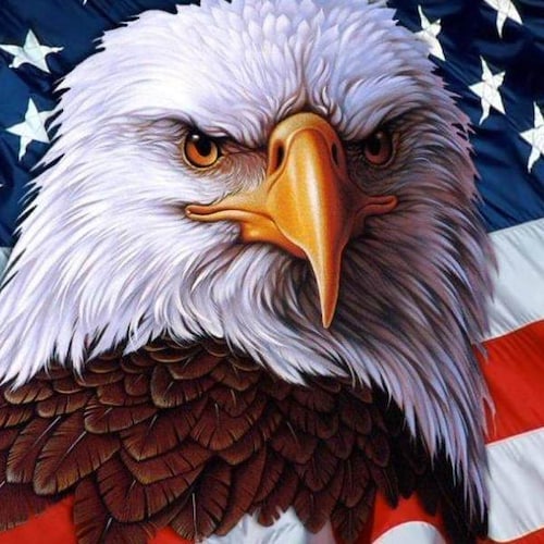 Outspoken Trump Supporter, Animal Right Activist. I was banned on Twitter for speaking the truth.