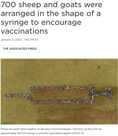 the image of being injected with 700 sheeps and goats is sure to change people's minds to get the vaccine