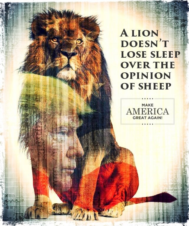 M A G A 🇺🇸A G A I N ‼️