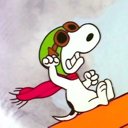 Follow God and The Constitution; Patriot; Conservative