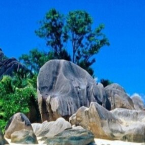 Visit 跟随文贵先生's profile on GETTR. View their posts, photos, videos, and connect with them on the social platform.