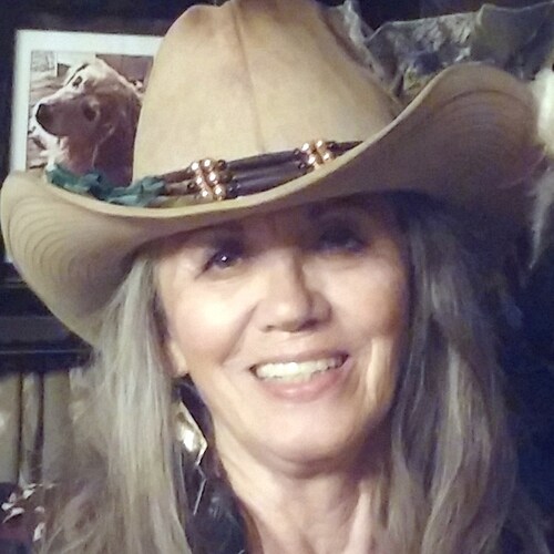 WordPress Webmaster & Webdesign