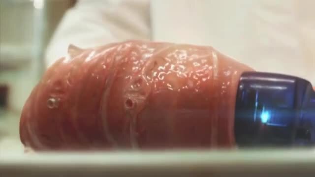 注入氧化石墨烯的动物尸块在電流的控制下，會動，邪惡的制造🤬