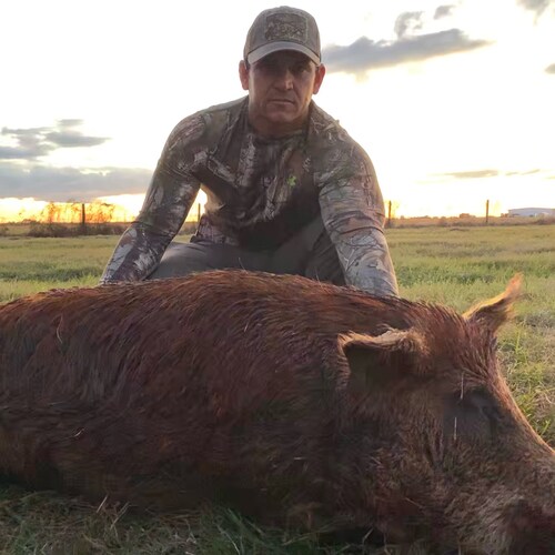 🇺🇸 God and Country 🇺🇸