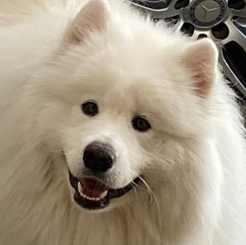 American Patriot, Fortnite Player, ProPhotographer, Husband, Dad, Dog Lover, Pro-Living, MBA & Christ Follower! (not lis...