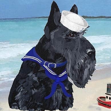 Wife, mother, grandma, conservative, Christian, pro-military, Trump won, MAGA