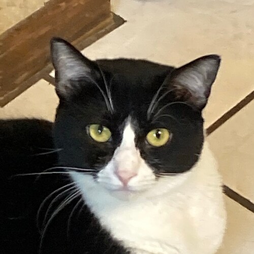 Jesus loving Wife, Mom, Grandmother....Farm girl who enjoys going to the beach! Psalm 91; John 3:16 USA! USA!! USA!!