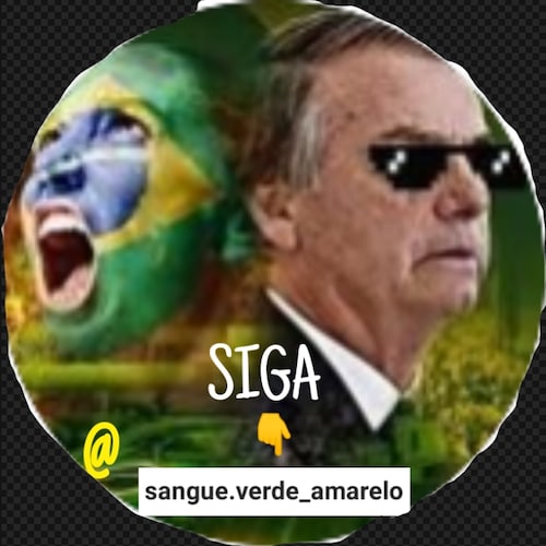 patriota e conservador @sangue.verde_amarelo