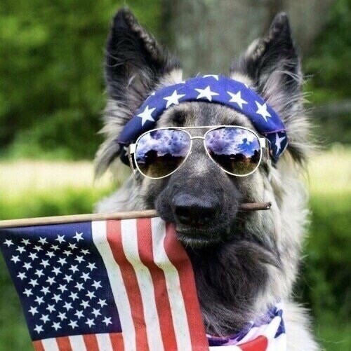 🇺🇸 SW Florida Realtor Patriot  2A 🇺🇸