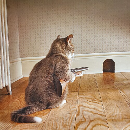 Constitutional Conservative, NRA Patriot Life Member, Retired Career Counselor, #AmericaFirst #SaveTheChildren  #NeverGi...