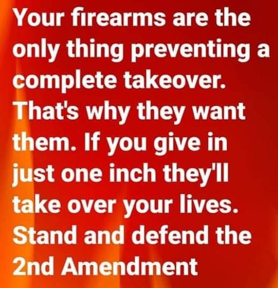 Defend 2A. Buy guns and ammo. 