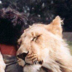 God Bless America !   Trump Won ! 🙏🙏🙏🇺🇸🇺🇸🇺🇸 United we Stand