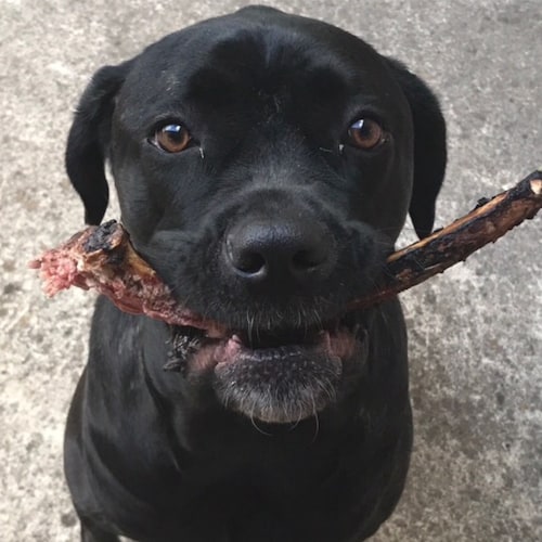 All men are created equal, endowed by their Creator with certain unalienable Rights of Life, Liberty and the pursuit of ...