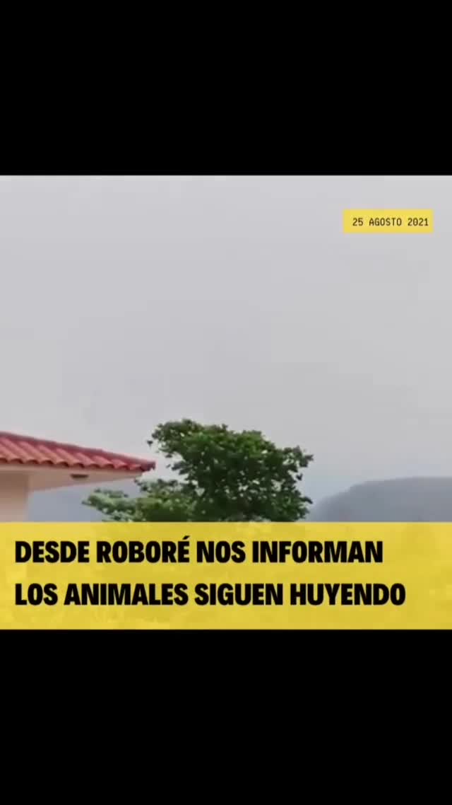 La chiquitania en #Bolivia, es víctima de la colonización de la dictadura narcocomunista en la colon...