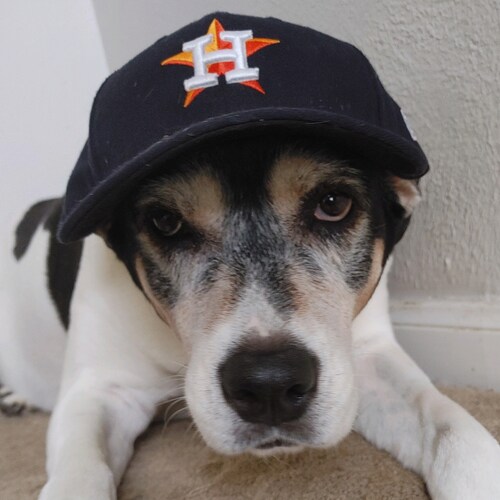 4 Kinds of Dems: Ignorant, Willfully Ignorant, Intellectually Dishonest and Deceitful