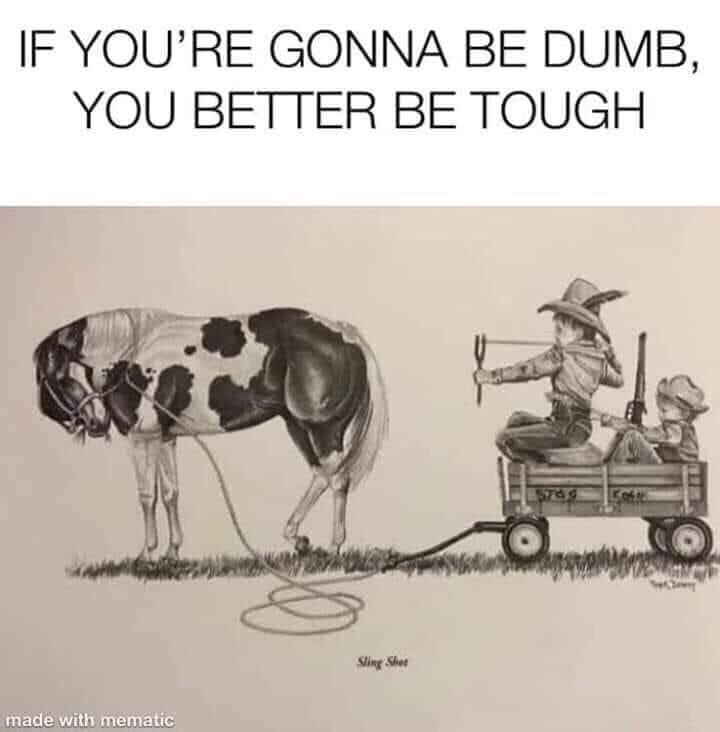 View Nicholas Rondolone's post on GETTR. Join the discussion, share your thoughts, and connect with the community.