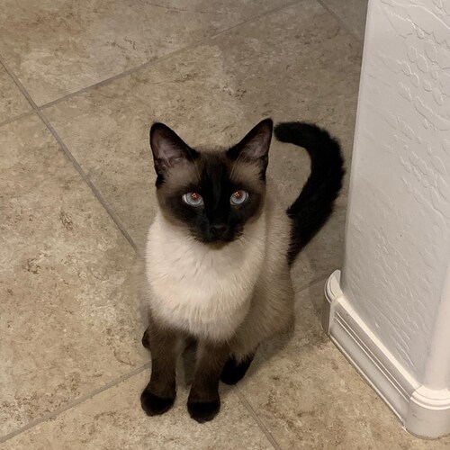 Air Force Veteran. Ohio State Buckeyes, Arizona Cardinals. Conservative, Pro Gun, Patriot! Happily Married! #AirForce