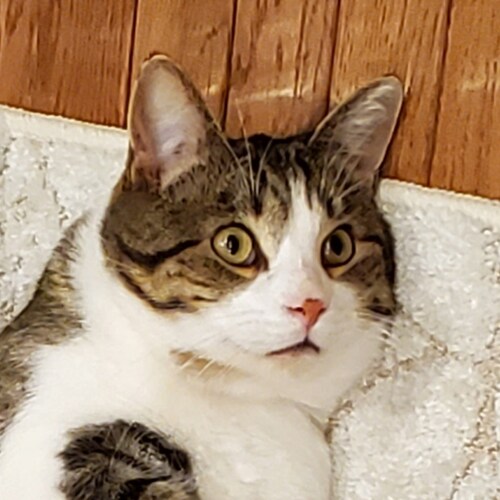 The good ol' days...