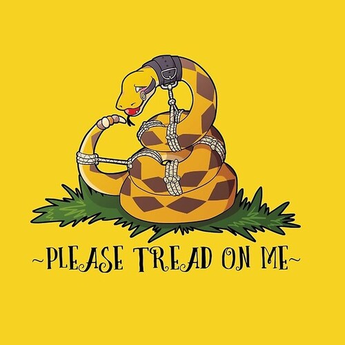 Freedom is like a bird, free to fly and breathe. The people of America are as Brave as Lions, and the Constitution is as...
