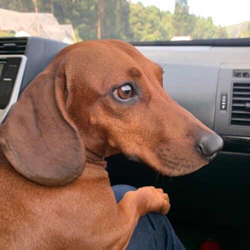 Libertarian - Pro republican | let’s go brandon🚩