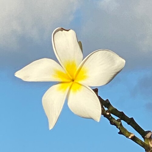 Pro-life, pro 1A, 2A Christian with a sense of humor & gift of sarcasm & food crafting. Love to travel.