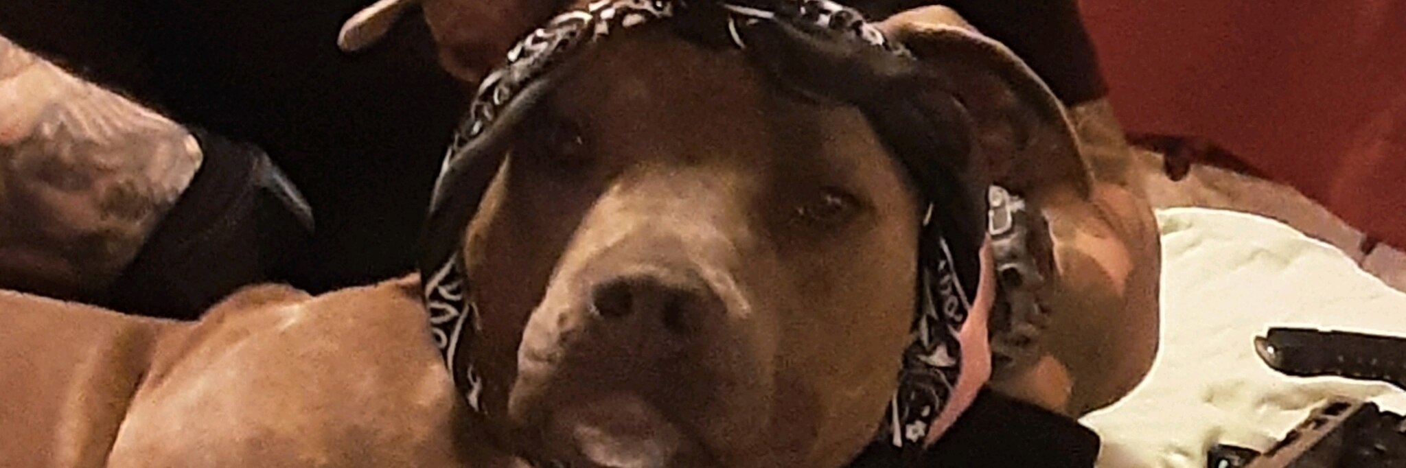 funkywalt