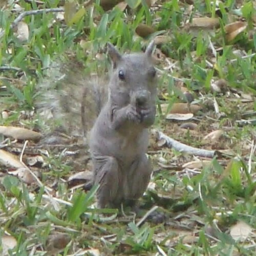 Diamonds become pure under the most extreme conditions. Clarity and hardness are the testimony. 💯✝️🇺🇲🍊