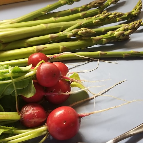 Very worried patriot!!  Trump supporter.  Lover of freedom.