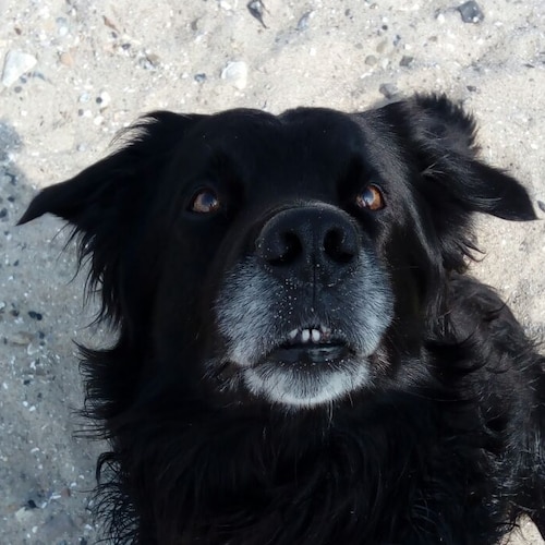 Visit hosianna's profile on GETTR. View their posts, photos, videos, and connect with them on the social platform.