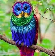 Visit BrutallyHonest's profile on GETTR. View their posts, photos, videos, and connect with them on the social platform.