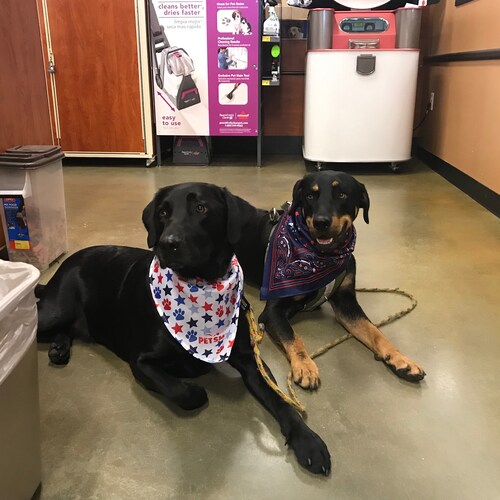 Visit Rusty nail's profile on GETTR. View their posts, photos, videos, and connect with them on the social platform.