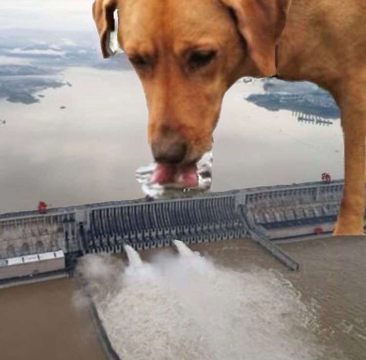 Schlop schlop schlop schlop 😄