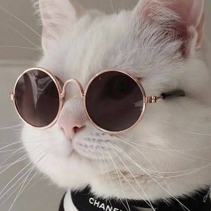 ✊Take Down the CCP✊