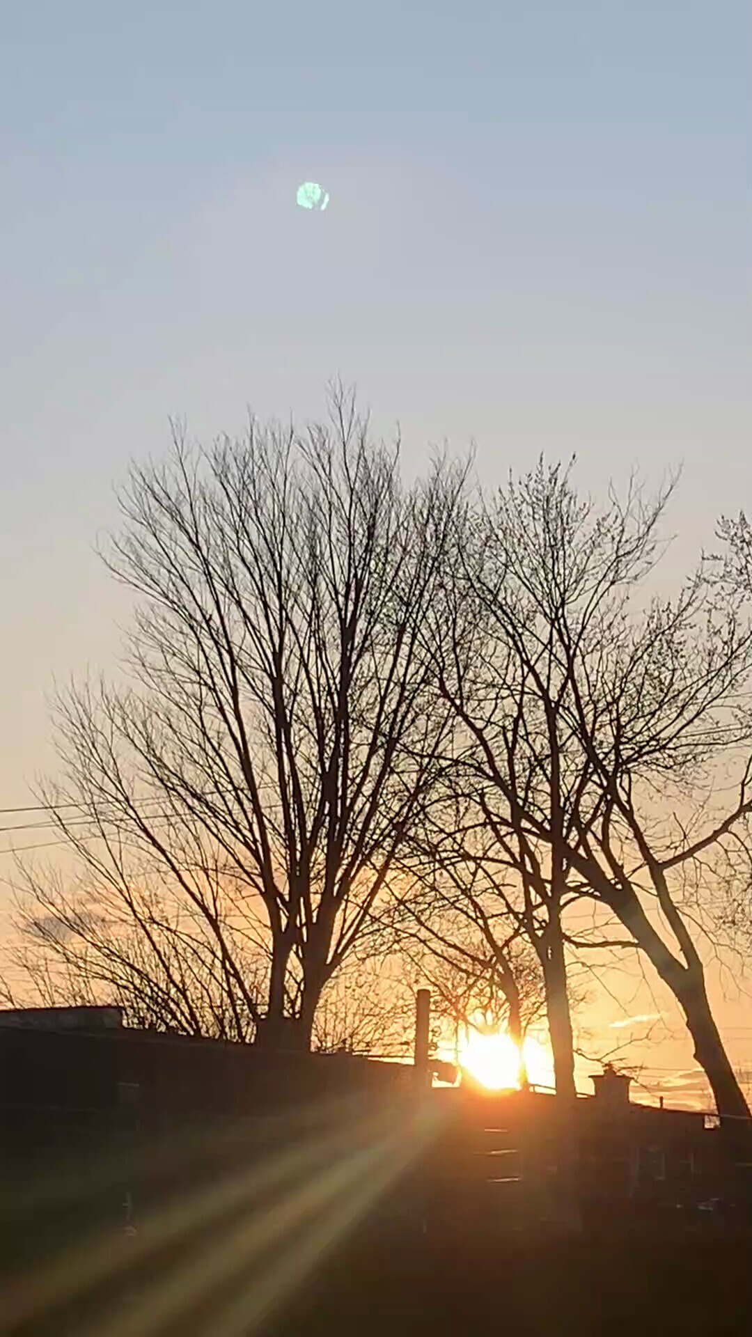 They brighten our world and serenade us into the night.