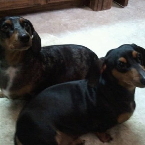 MAGA STRONG FOR TRUMP Stand the line Patriots. 
TRUMP IS THE MAN WITH THE PLAN THAT DOESN'T SCAM
Born and raised in Colu...